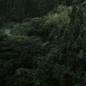 Meet your Posher, Brett